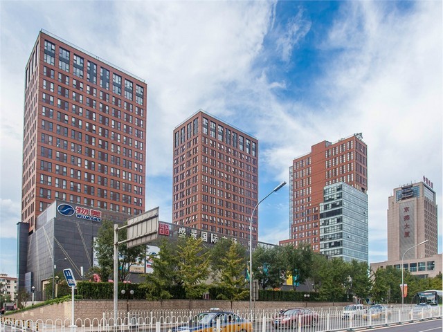 福建美国云杉哪家好